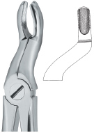 Tooth Ext Forceps