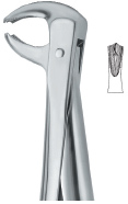 Tooth Ext Forceps