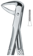 Tooth Ext Forceps