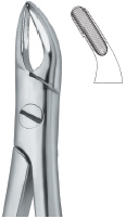 Tooth Ext Forceps