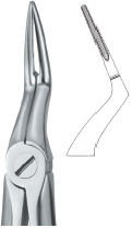 Tooth Ext Forceps