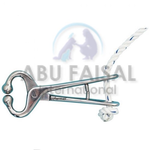 Bull Holder Pliers 