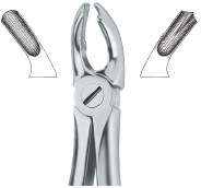 Tooth Ext Forceps