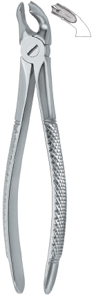 Tooth Ext Forceps