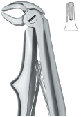 Tooth Ext Forceps