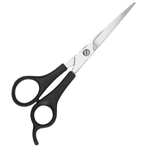 Plastic Handle Scissors